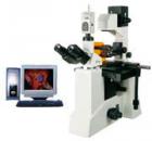 用途

550 系列熒光顯微鏡是由倒置顯微鏡和落射熒光裝置組成。配有長工作距離平場消色差物鏡、大視野目鏡、雙目觀察。倒置熒光顯微鏡還配有特長工作距離聚光鏡、同時配有相襯裝置及長工作距離平場相襯物鏡，具有在培養(yǎng)瓶或培養(yǎng)皿內(nèi)進行顯微觀察的特點。倒置熒光顯微鏡可以觀察不經(jīng)染色的透明活體；落射熒光裝置適用于熒光顯微術。倒置熒光顯微鏡特別適用于對活體細胞和組織、流質(zhì)、沉淀物等進行顯微研究，是生物學、細胞學、腫瘤學、遺傳學、免疫學等研究工作的理想儀器?？晒┛蒲小⒏咝?、醫(yī)療、防疫質(zhì)檢和農(nóng)牧等部門使用。
