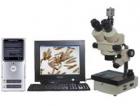 實體圖像顯微鏡或數(shù)碼攝影實體顯微鏡，配置了高清晰度的圖像傳感攝像機 (或數(shù)碼相機)，可以將顯微成像由計算機進行處理、編輯、保存和輸出 (如打印等)或進入多媒體系統(tǒng)及電子信箱。
